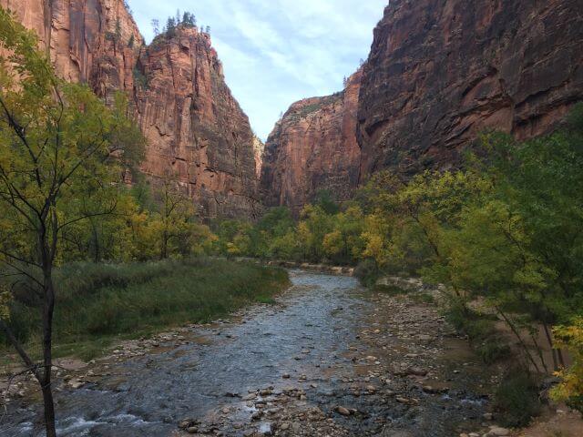 A river lined with yellow-leaved trees and red canyon walls