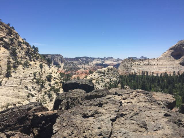 White and black rock formations scattered with trees