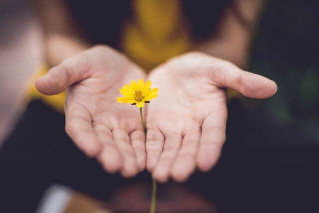 A yellow flower held in two hands