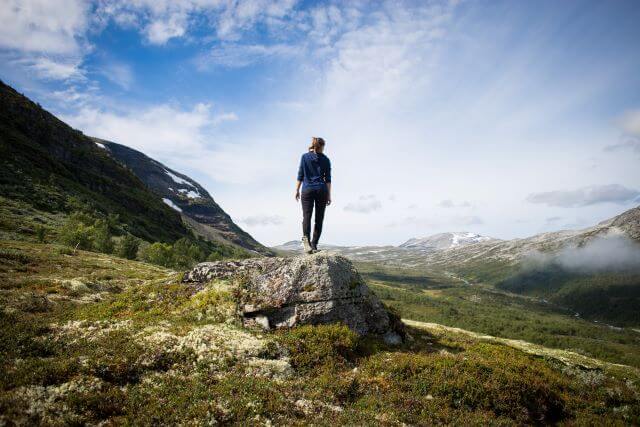 Person stands on rock alone in front of beautiful landscape