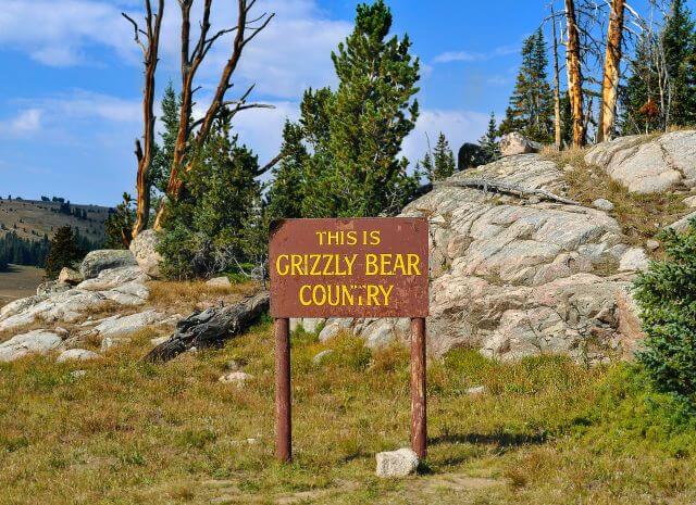 an outdoor sign reading "this is grizzly bear country"