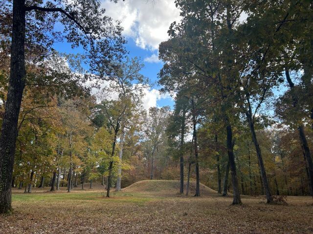 a small hill surrounded by trees