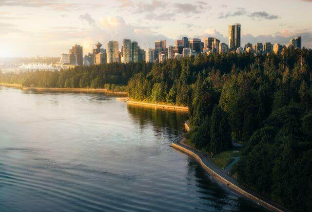 forest next to waterfront with tall buildings in background