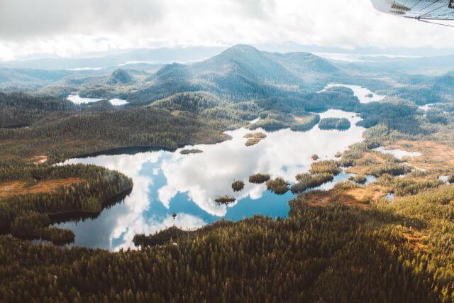 mountain lake surrounded by thick forest