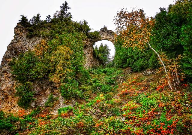 a stone arch surrounded by fall foliage