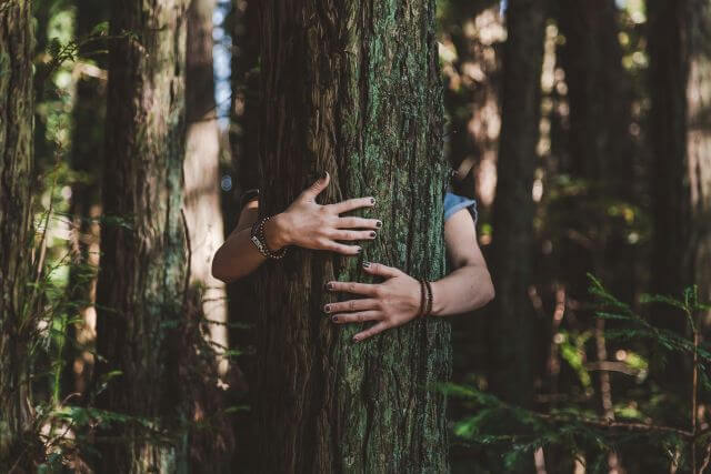 two arms hugging a tree