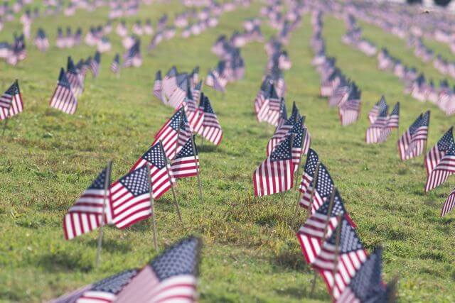a field of small American flags