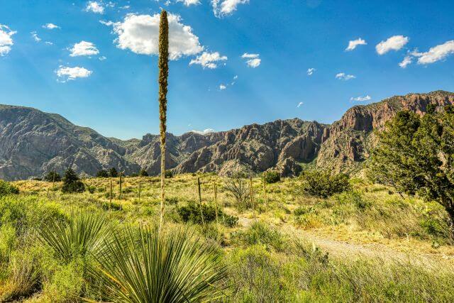 a row of desert mountains under a clear sky
